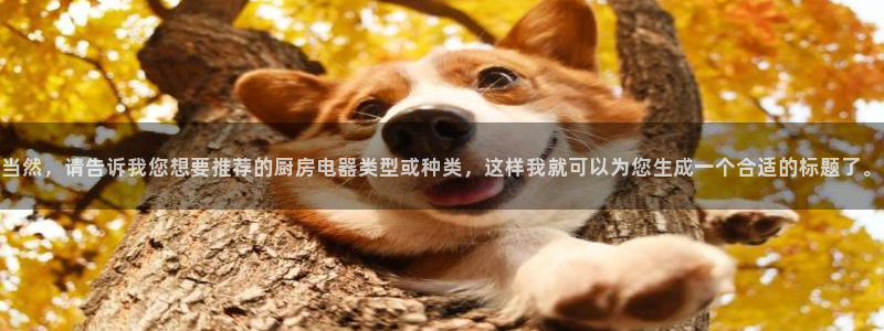 风暴娱乐派对