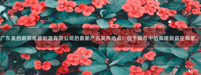 风暴娱乐厅