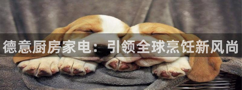 风暴英雄娱乐