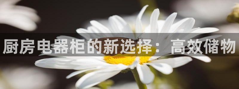 风暴娱乐1