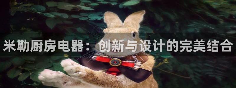 星风暴娱乐