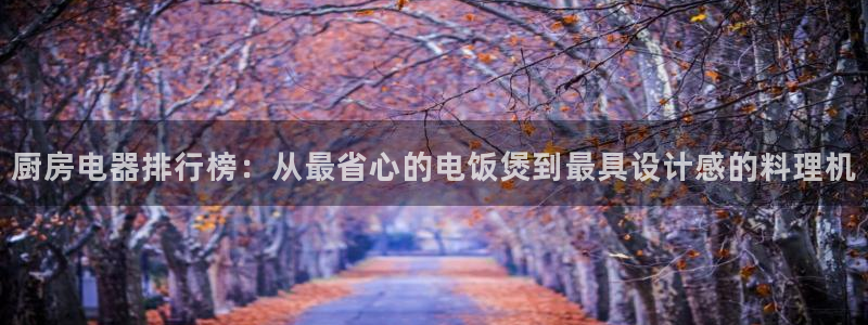 风暴娱乐老板