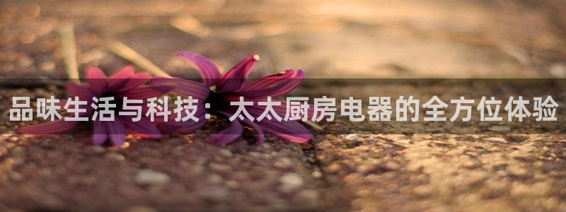 完美风暴 娱乐