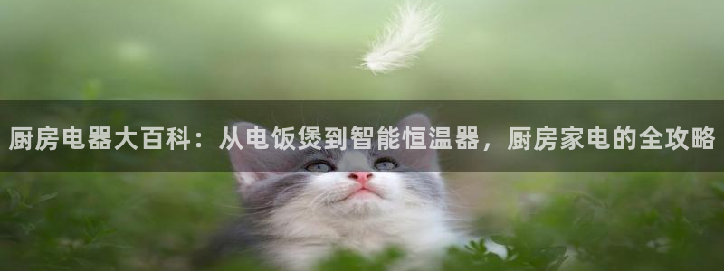 娱乐风暴二