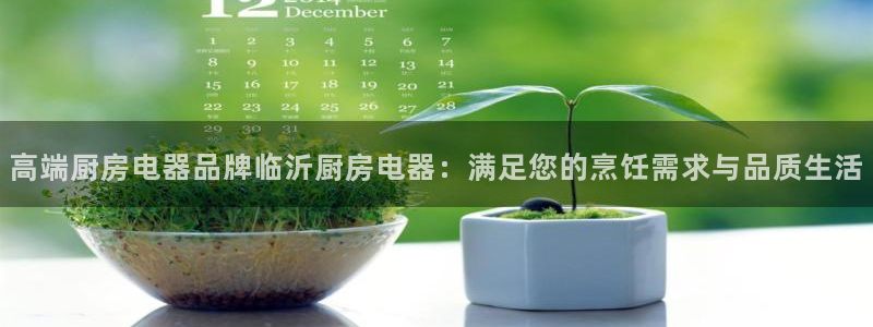 4120051风暴娱乐
