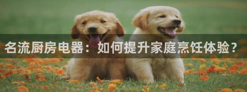 风暴新娱乐