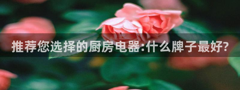 风暴娱乐图片