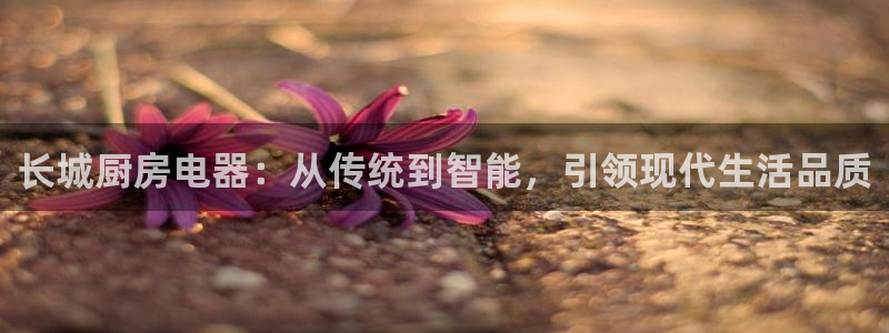 风暴娱乐线路