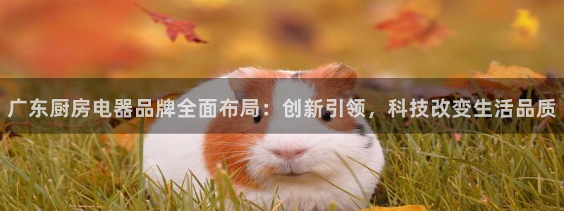 星风暴娱乐