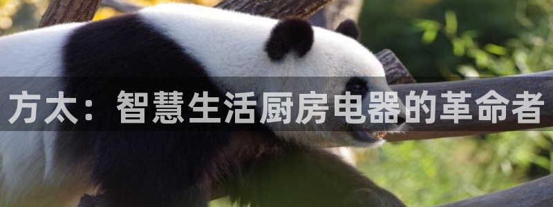 娱乐风暴港