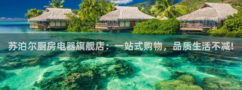 风暴娱乐老板