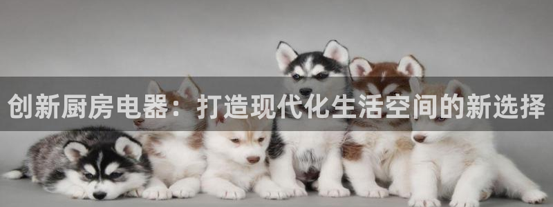 风暴娱乐344272