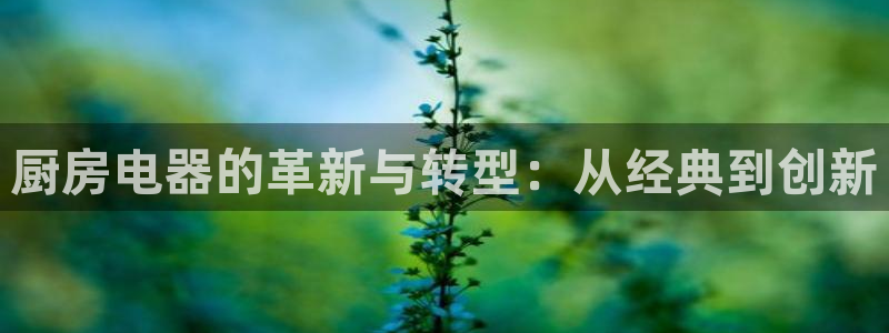 风暴娱乐求333OOc