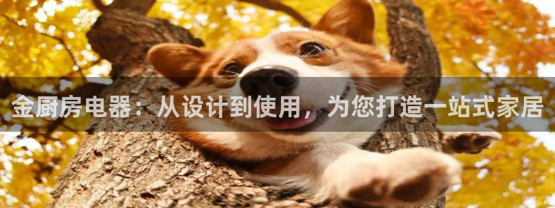 风暴娱乐这个平台靠谱