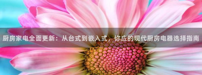 娱乐风暴合集