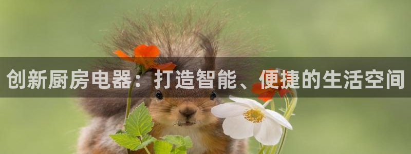 风暴大厅娱乐