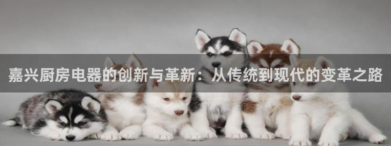风暴娱乐平台地址