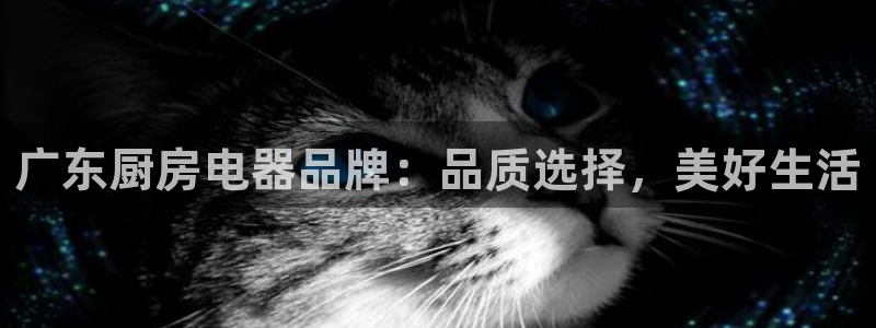 风暴娱乐套路