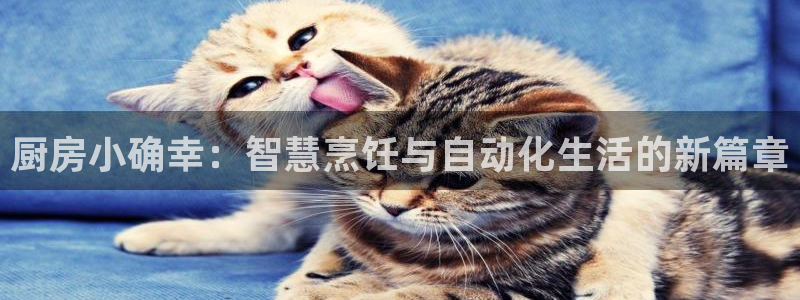 娱乐风暴港