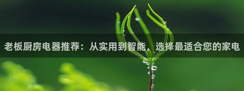 风暴娱乐部