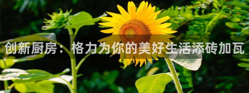 风暴娱乐号