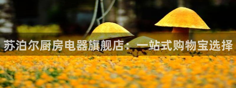 娱乐风暴港