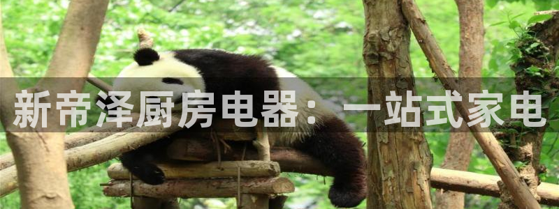 娱乐风暴二