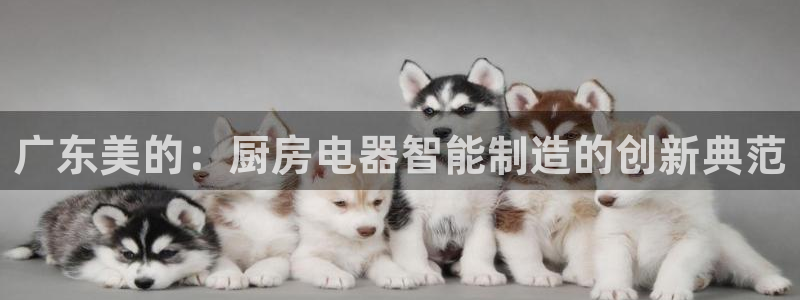 风暴娱乐银川