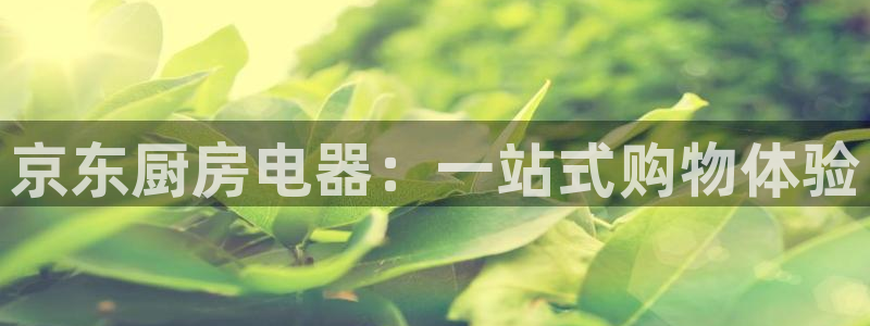 风暴娱乐主页