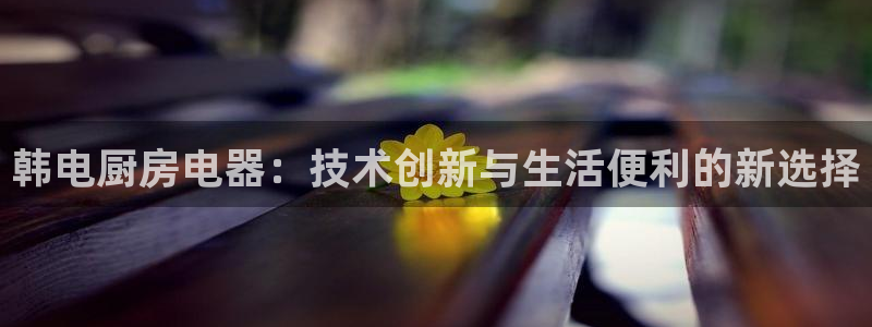 风暴数字娱乐