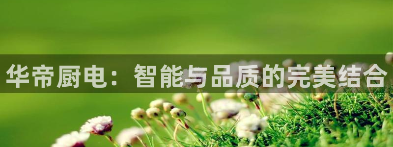 风暴大厅娱乐
