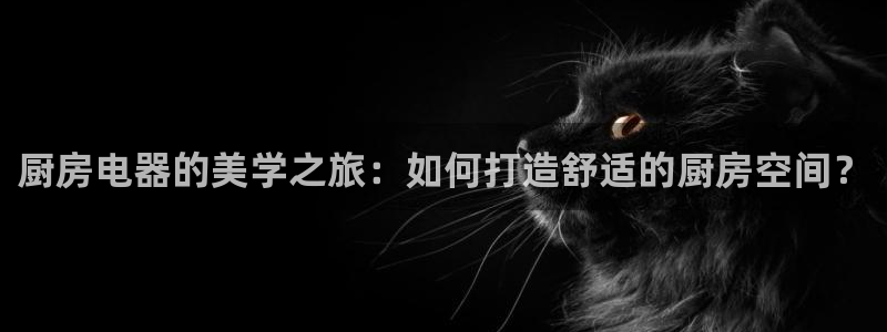 风暴新娱乐
