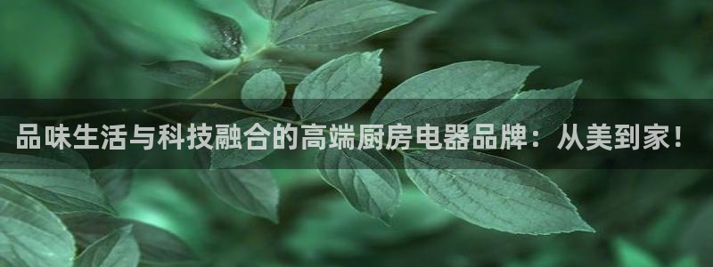 风暴官方娱乐
