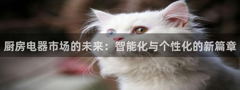娱乐风暴2