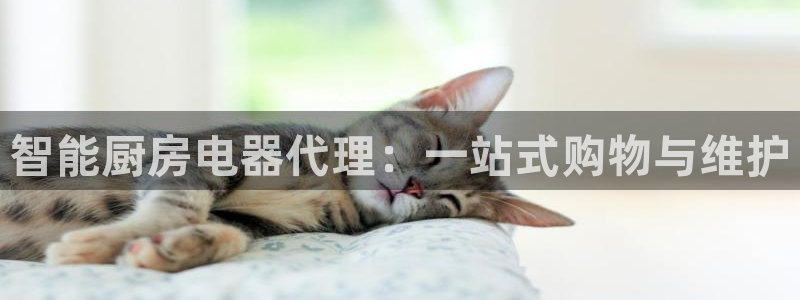 风暴娱乐平台地址